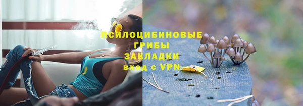 Альфа ПВП Карталы