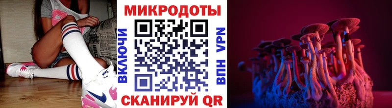 Галлюциногенные грибы MAGIC MUSHROOMS  Купить закладки  Невель 