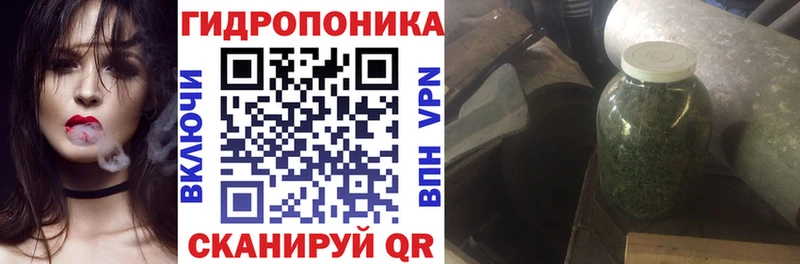 Марихуана конопля Невель